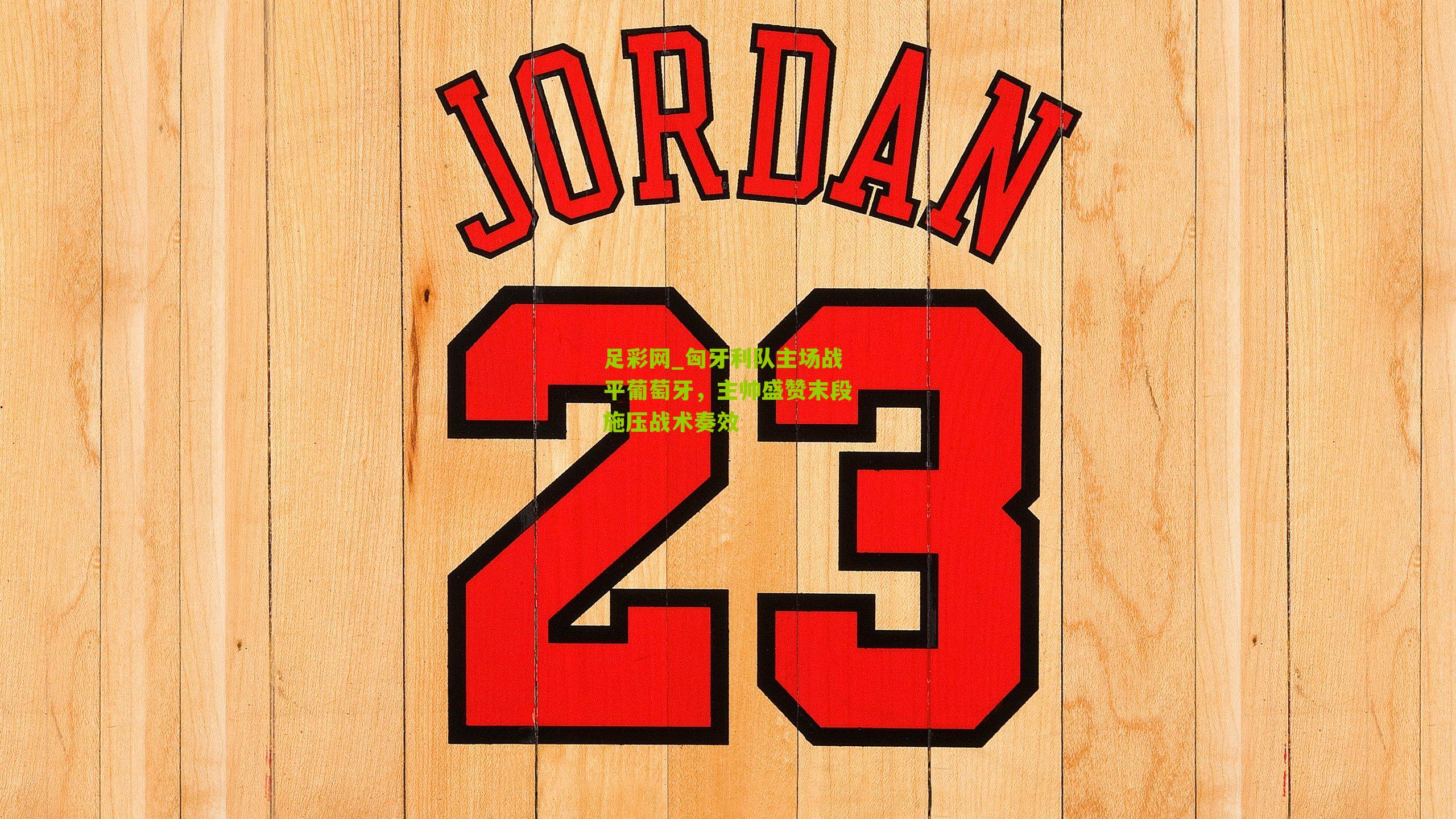 匈牙利队主场战平葡萄牙，主帅盛赞末段施压战术奏效