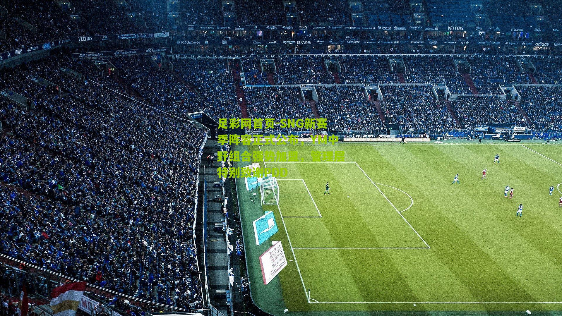 SNG新赛季阵容正式公布,YM中野组合强势加盟,管理层特别致谢PDD