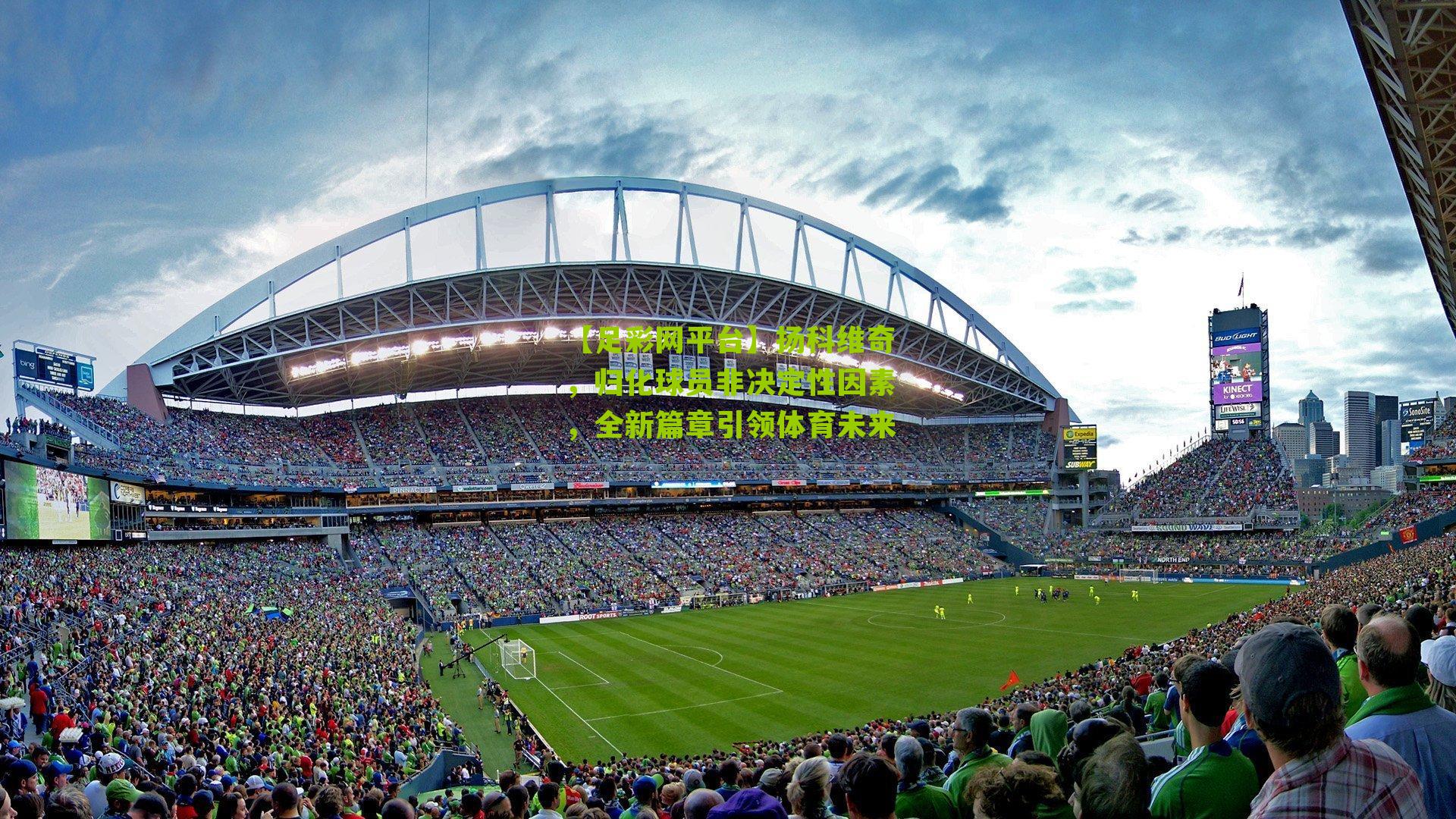 扬科维奇,归化球员非决定性因素,全新篇章引领体育未来