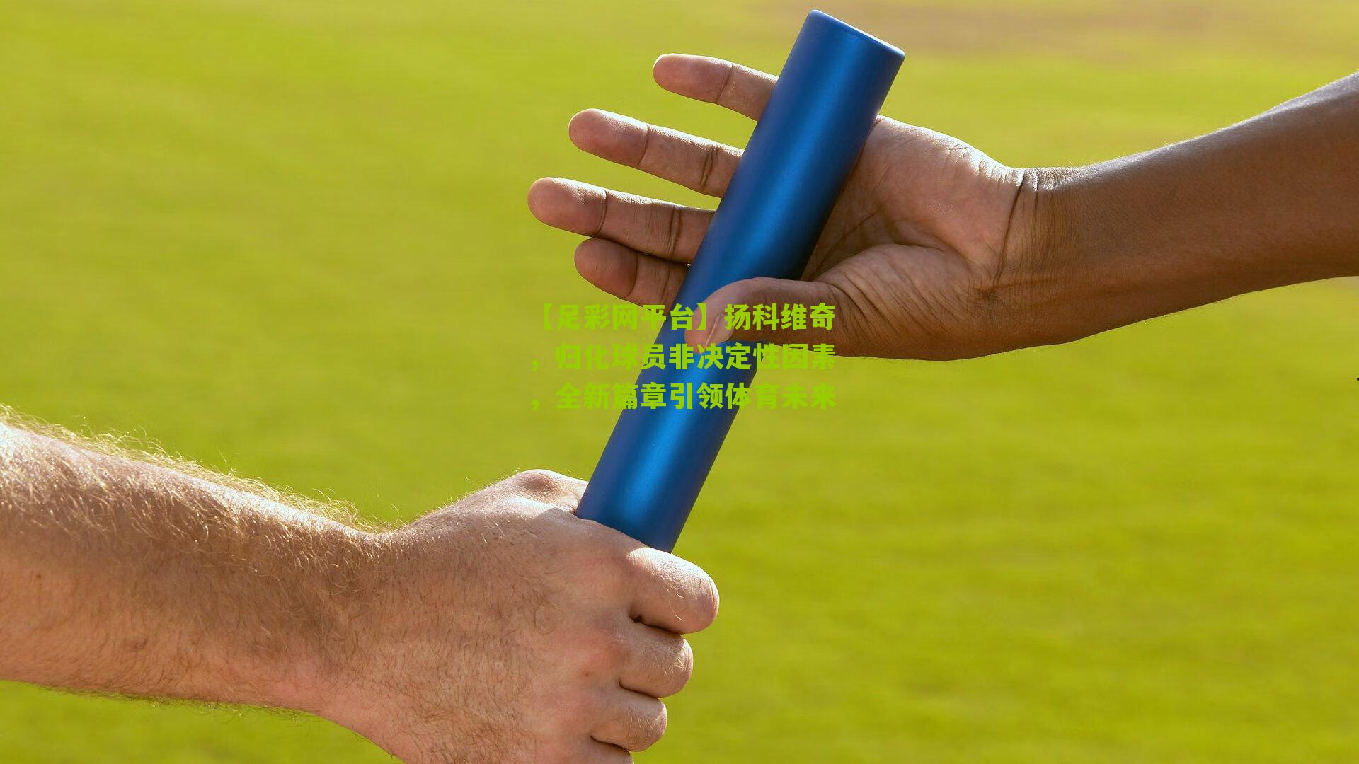 扬科维奇,归化球员非决定性因素,全新篇章引领体育未来