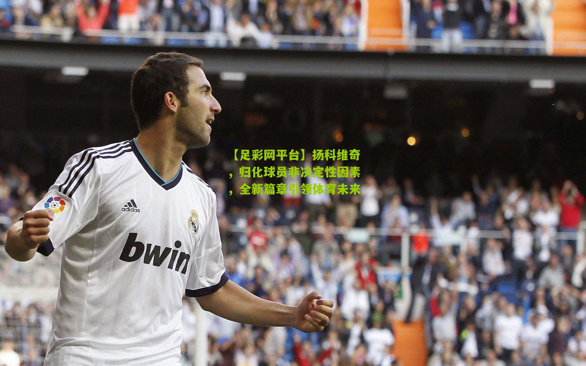 扬科维奇,归化球员非决定性因素,全新篇章引领体育未来